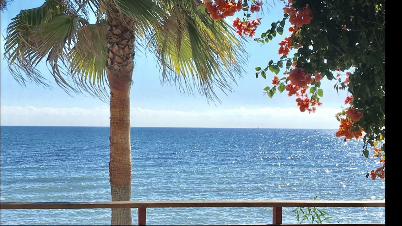 Mi Capricho Beachfront- 9D Apartment With Sea Views - Costa Del Sol La Cala De Mijas Luaran gambar